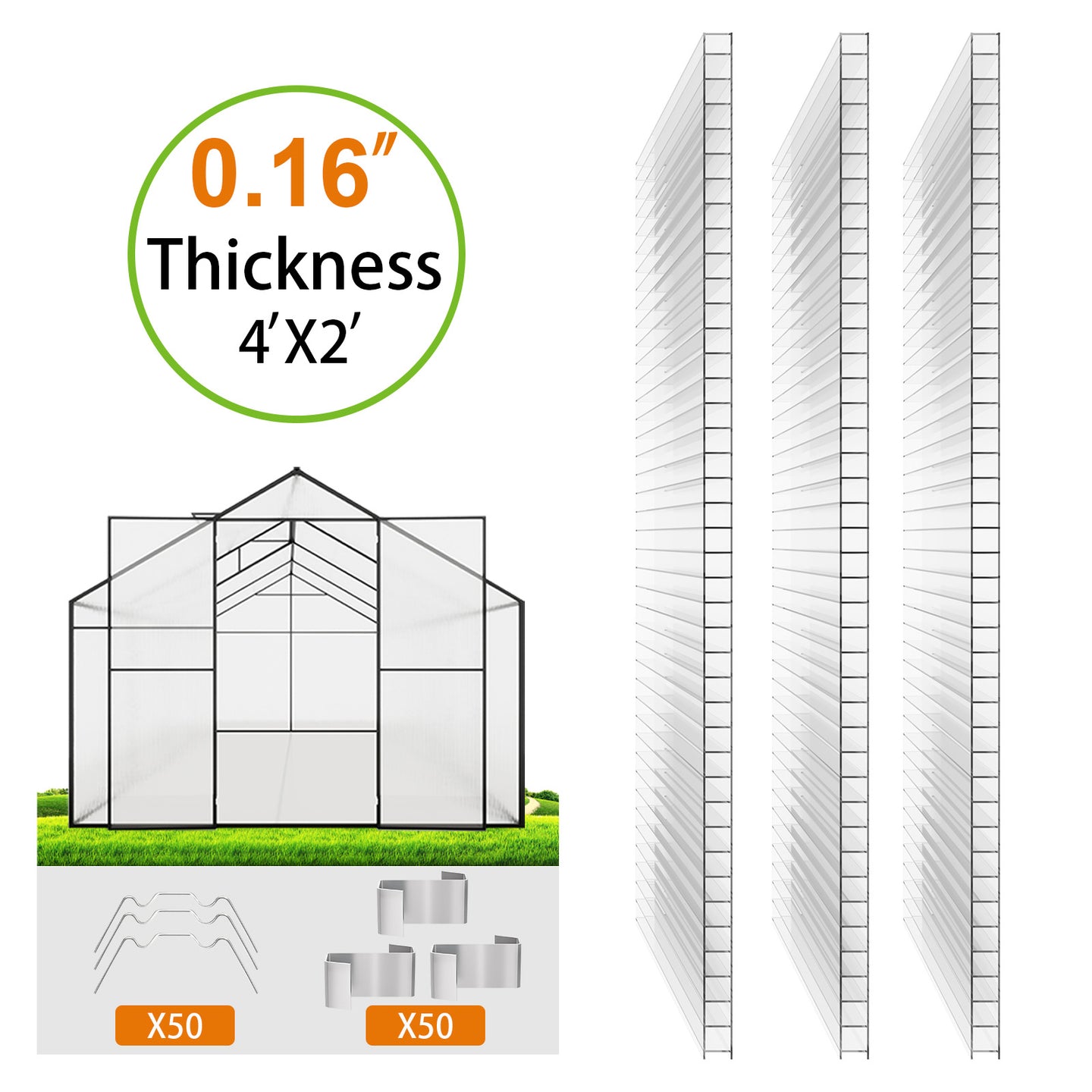 Dawning Home 2'x4'x0.16' Polycarbonate Twin Wall Sheet – UV Protected Clear Panel for Greenhouses & Outdoor Projects