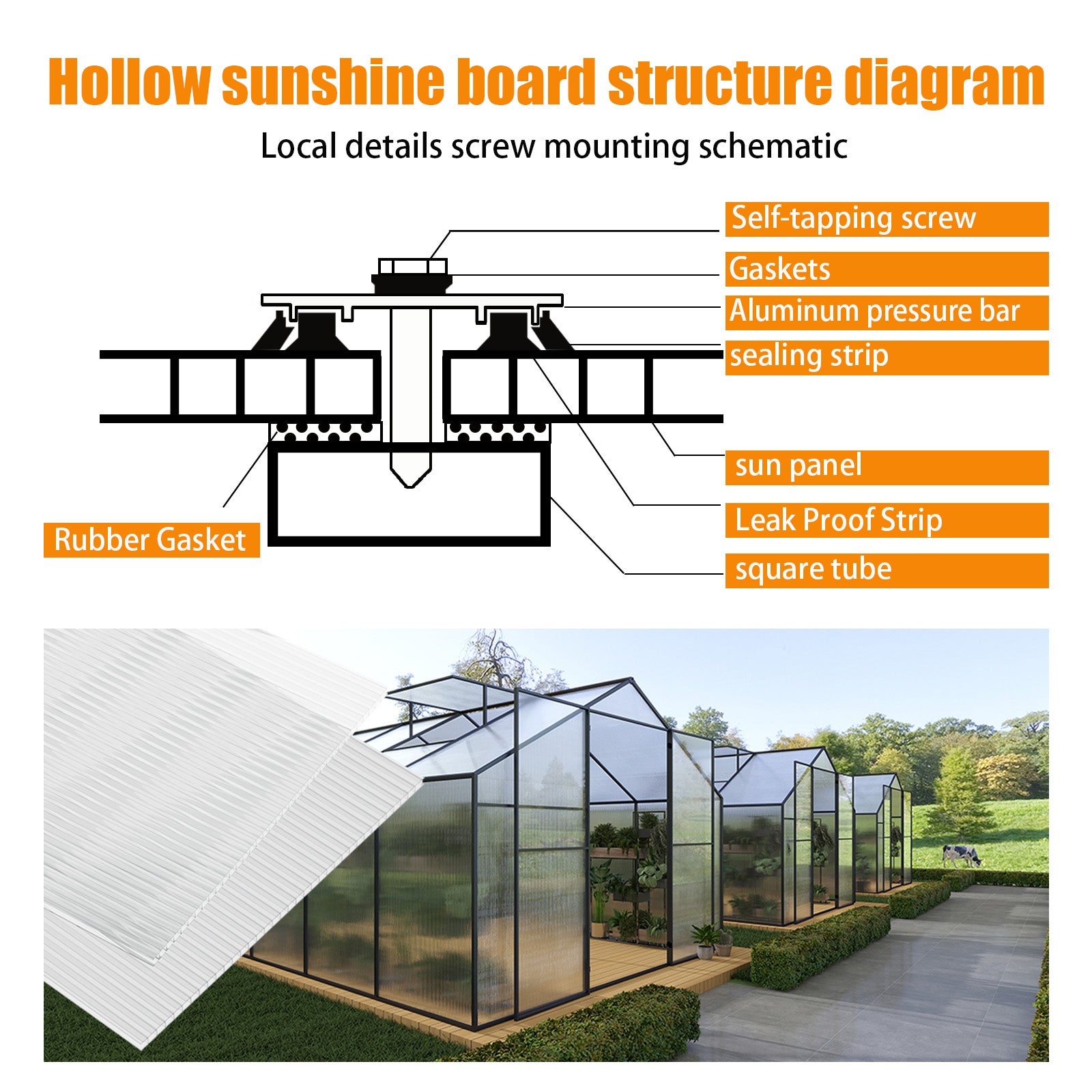 Panneau creux en polycarbonate à double paroi GUANSU-CN 2'x4'x0, 32" transparent protégé contre les UV