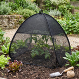 Plant Shade Covers 2-Pack Pop-Up Plant Protection